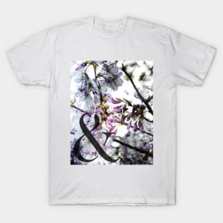 Cherry Blossom Ampersand T-Shirt